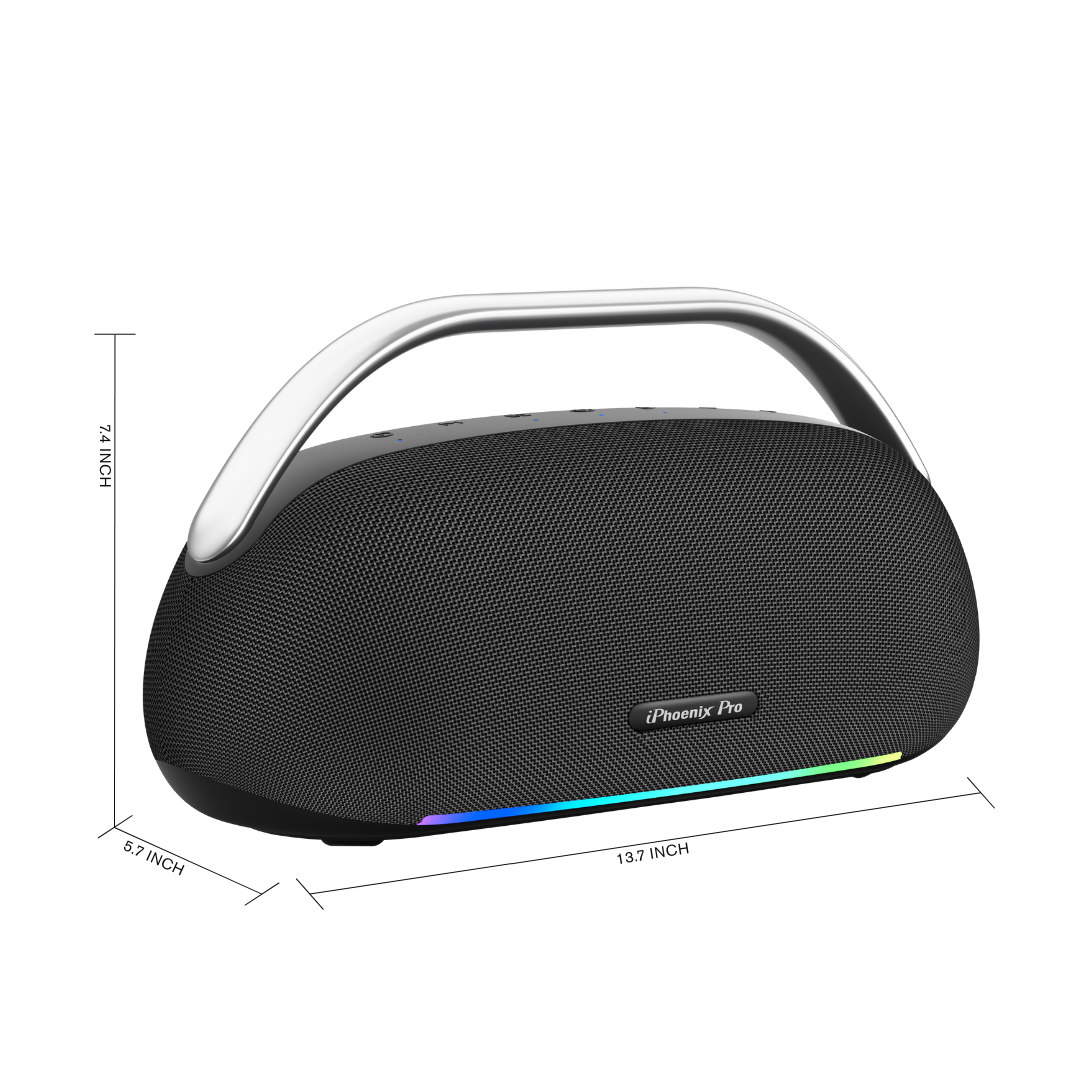 IX-113 100W Wireless Karaoke Speaker w/ Mic
