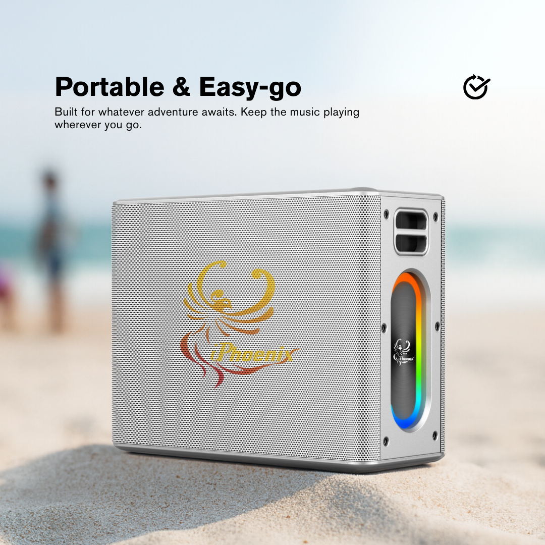 IX-60 12000mAh Wireless Karaoke Speaker