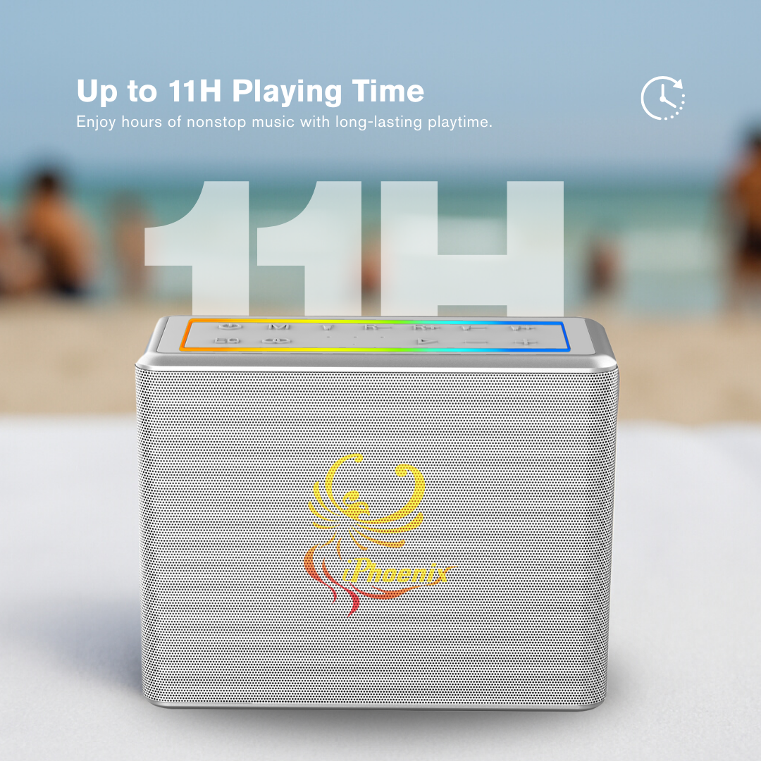 IX-60 12000mAh Wireless Karaoke Speaker