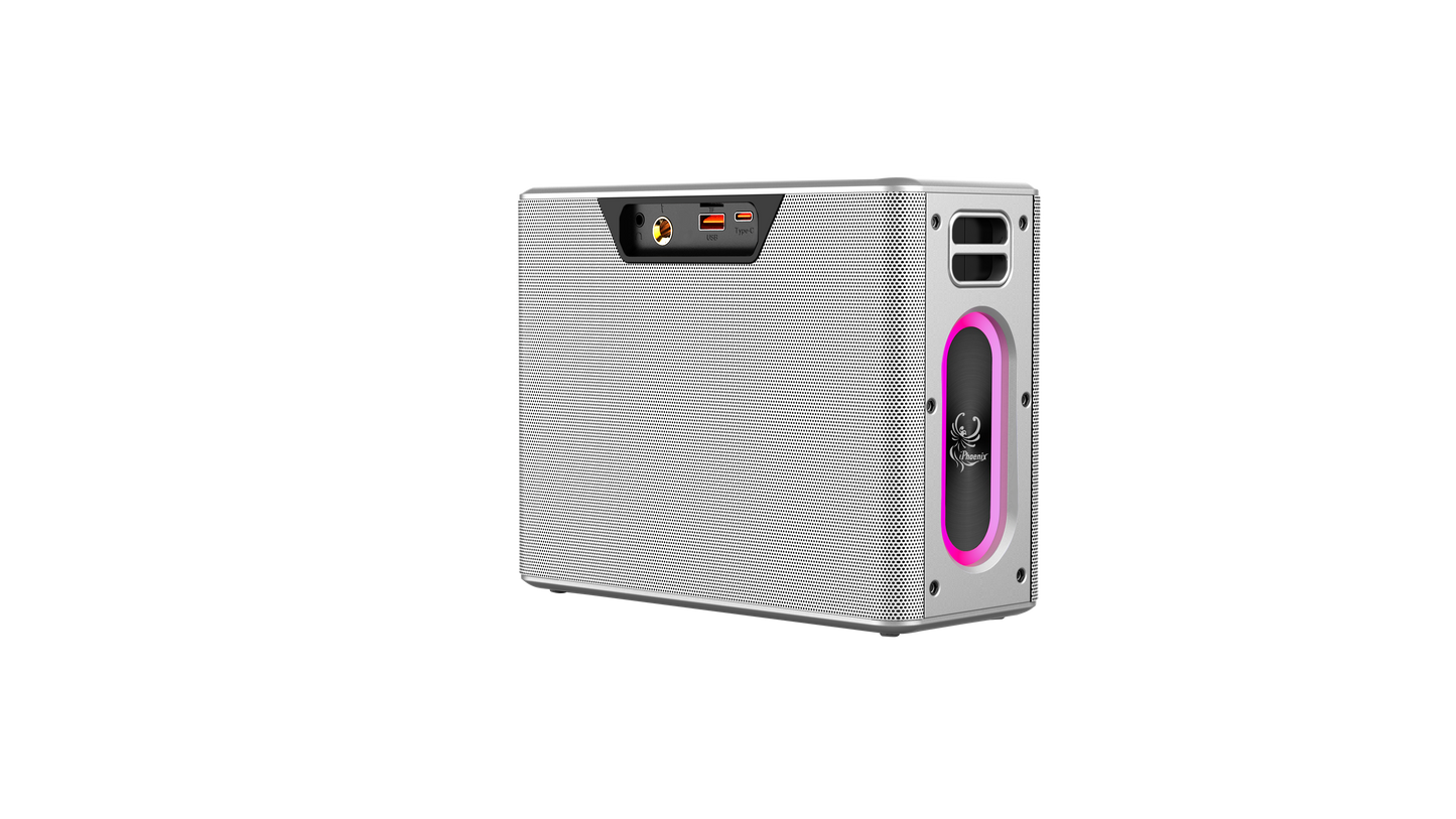 IX-60 12000mAh Wireless Karaoke Speaker
