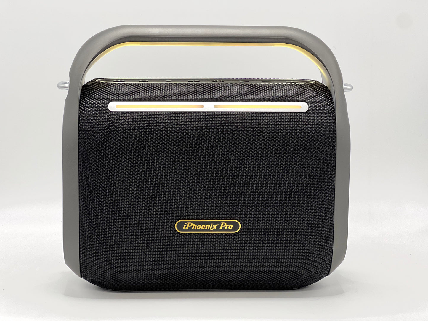 IP2 Pro Wireless Karaoke Speaker with 12H Playing Time