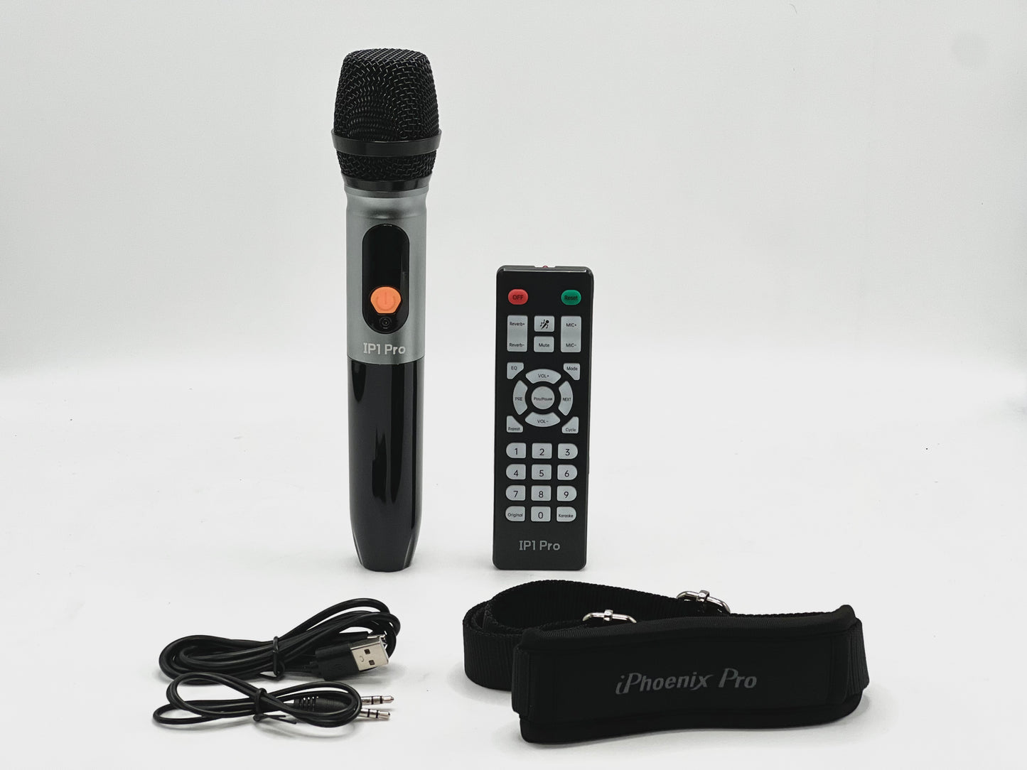 IP1 Pro Wireless Karaoke Speaker with 80W Power Output