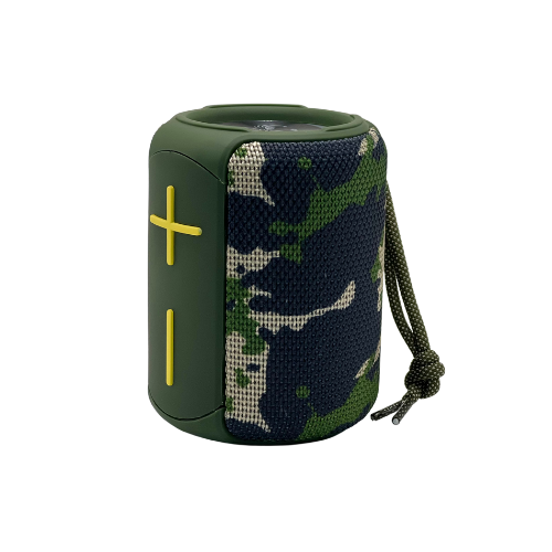 R350 Bluetooth Speaker with Radio