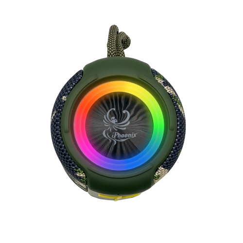 R350 Bluetooth Speaker with Radio