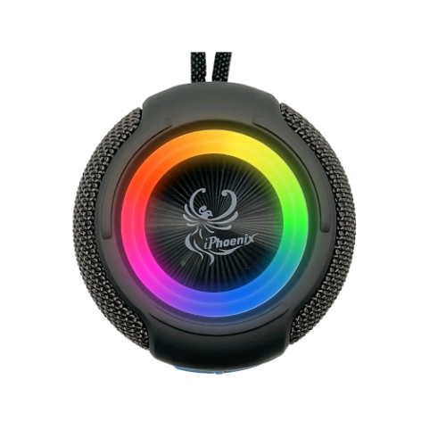 R350 Bluetooth Speaker with Radio