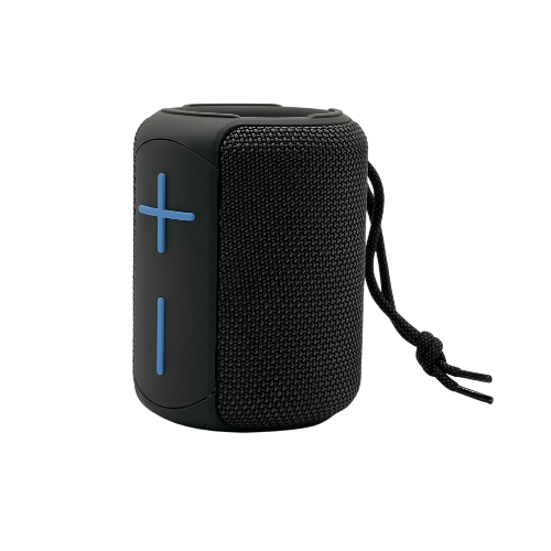 R350 Bluetooth Speaker with Radio
