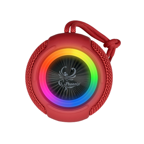 R350 Bluetooth Speaker with Radio