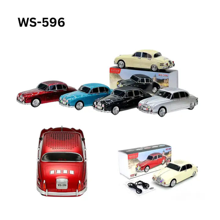 WS-596 New Portable Speaker with FM Radio/Rechargeable Home Gift - Silver