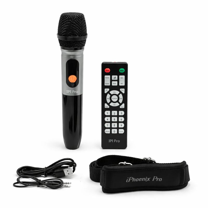 IP1 Pro Wireless Karaoke Speaker with 80W Power Output