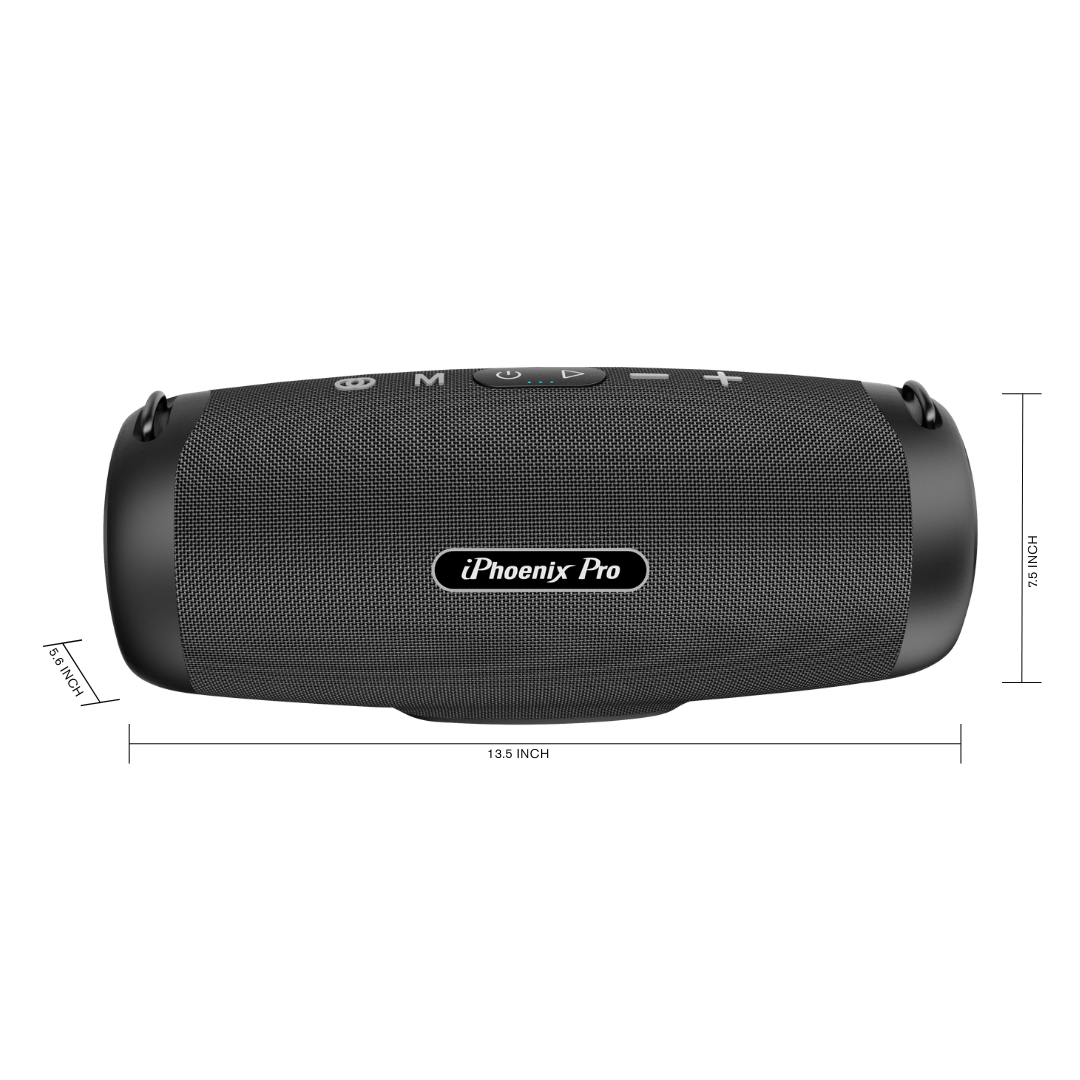 IX-109 80W Wireless Speaker with Strap