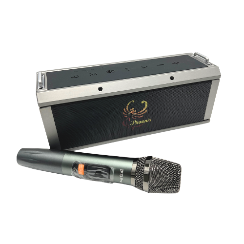 IP-10 Pro Wireless Karaoke Speaker with 120W Power Output