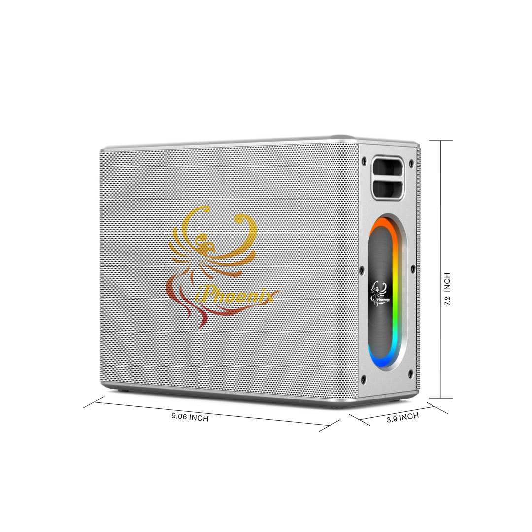 IX-60 12000mAh Wireless Karaoke Speaker