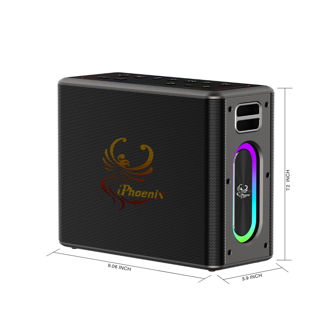 IX-60 12000mAh Wireless Karaoke Speaker
