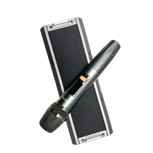 IP-10 Pro Wireless Karaoke Speaker with 120W Power Output