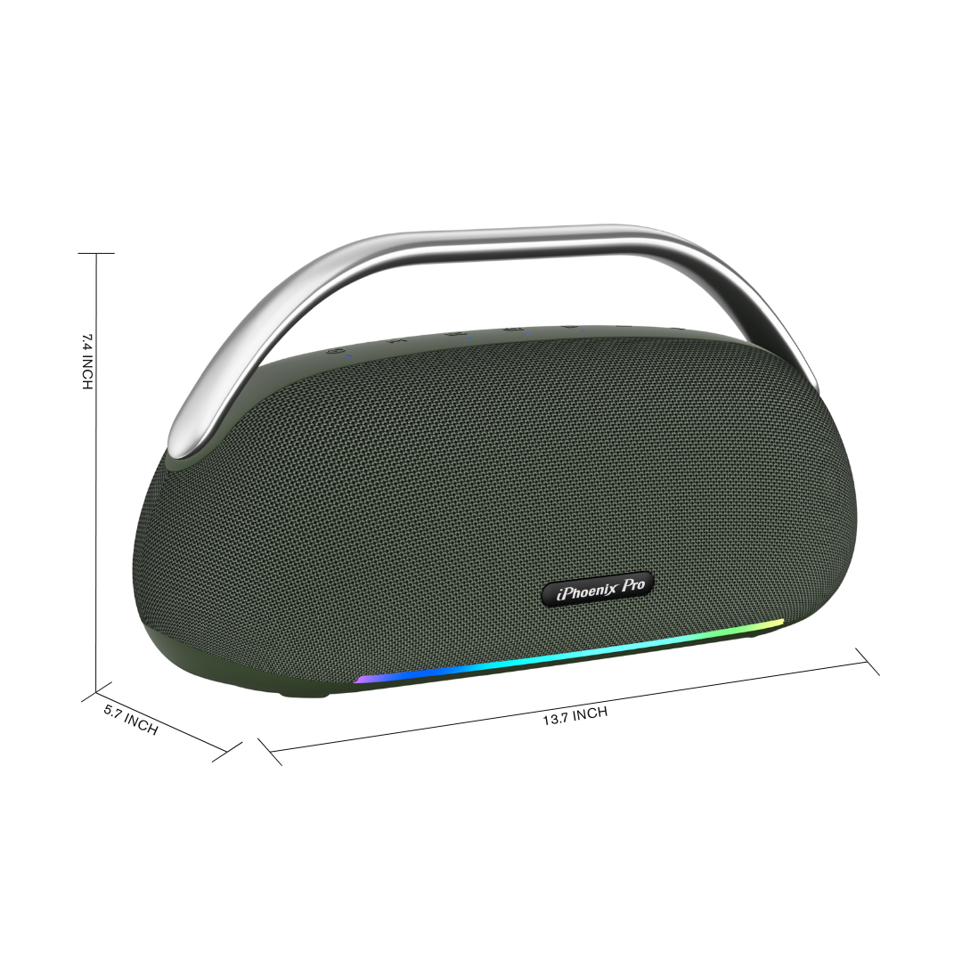 IX-113 100W Wireless Karaoke Speaker w/ Mic