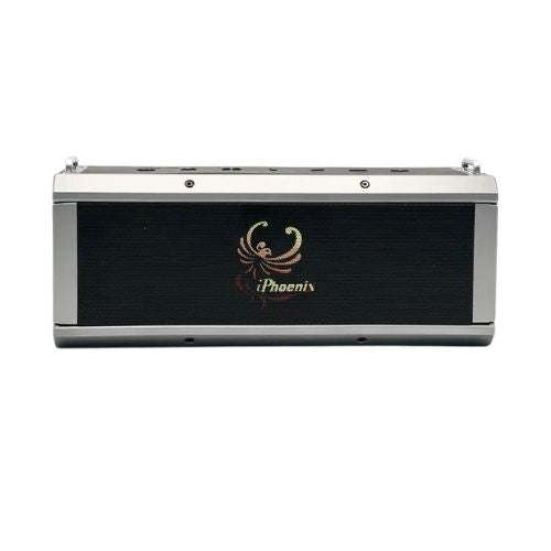 IP-10 Pro Wireless Karaoke Speaker with 120W Power Output