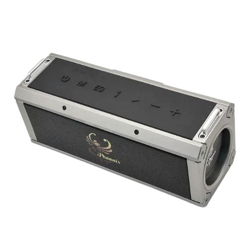 IP-10 Pro Wireless Karaoke Speaker with 120W Power Output