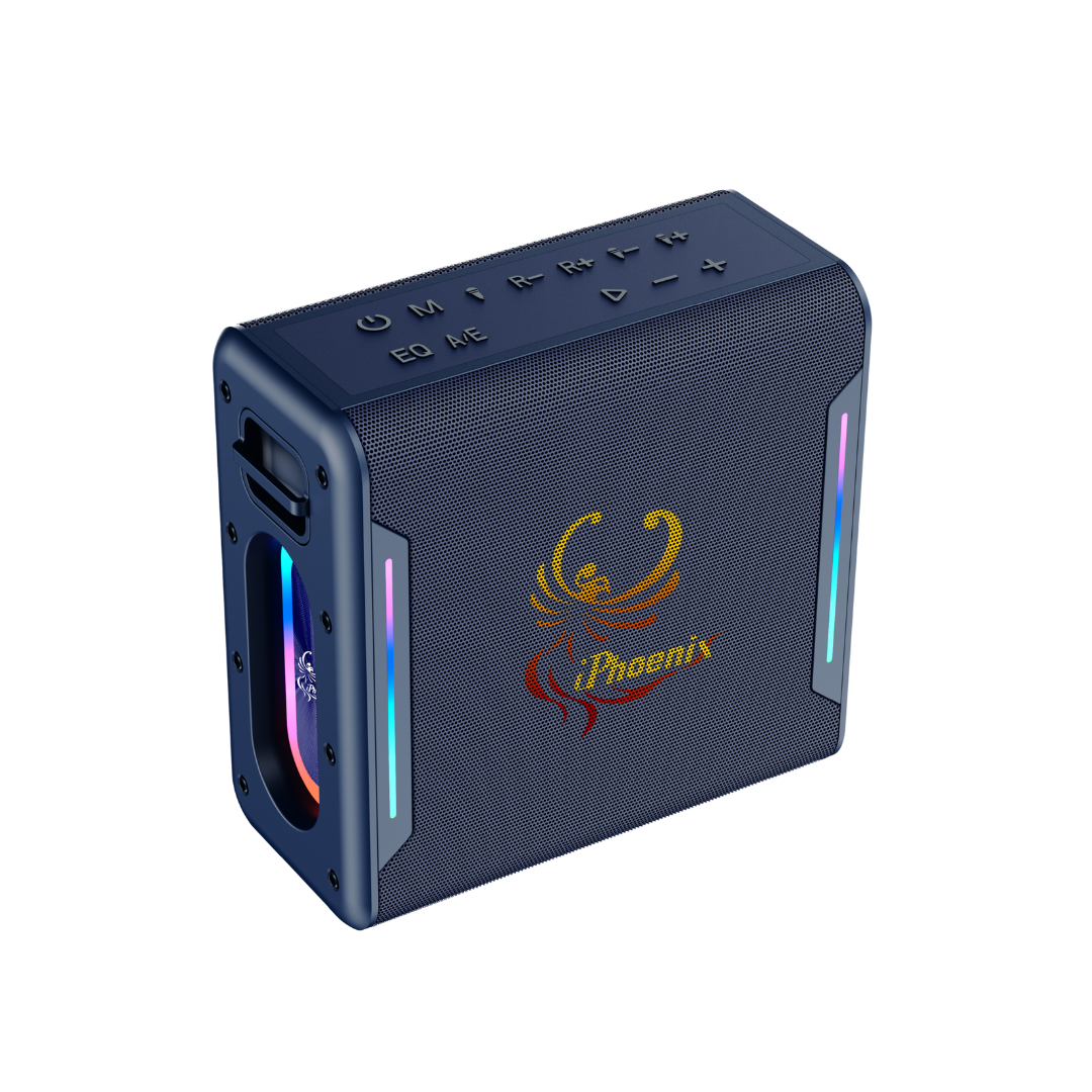 IX-100 40W Wireless Karaoke Speaker w/ Mic