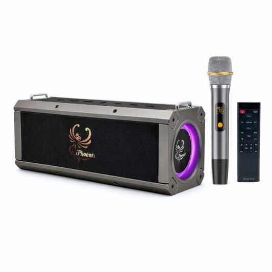 IP-10 Pro Wireless Karaoke Speaker with 120W Power Output