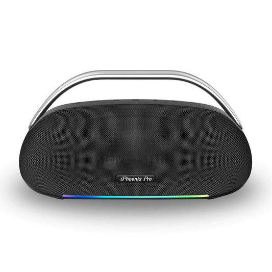IX-113 100W Wireless Karaoke Speaker w/ Mic