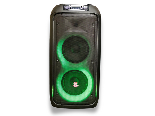 SH-2808 Professional Battery Speaker System