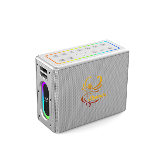 IX-60 12000mAh Wireless Karaoke Speaker
