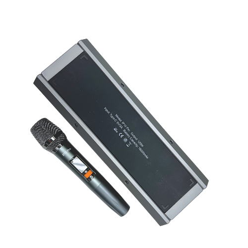 IP-10 Pro Wireless Karaoke Speaker with 120W Power Output