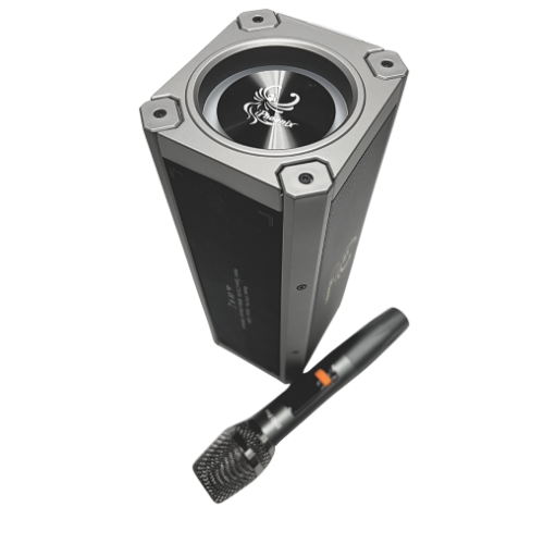 IP-10 Pro Wireless Karaoke Speaker with 120W Power Output