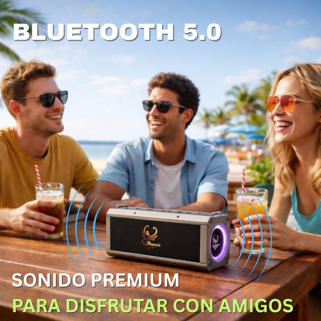 IP-10 Pro Wireless Karaoke Speaker with 120W Power Output