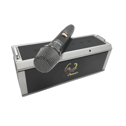 IP-10 Pro Wireless Karaoke Speaker with 120W Power Output