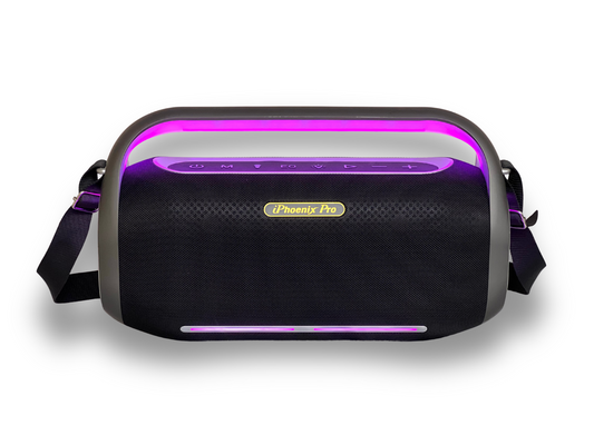 IP4 Pro 300W Wireless Karaoke Speaker with Microphone