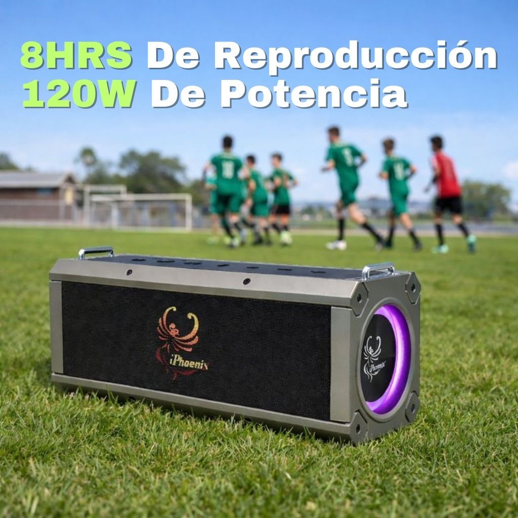 IP-10 Pro Wireless Karaoke Speaker with 120W Power Output