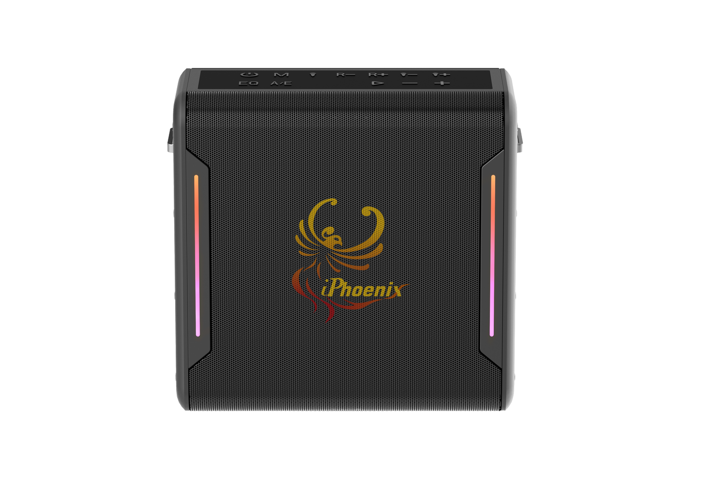 IX-100 40W Wireless Karaoke Speaker w/ Mic