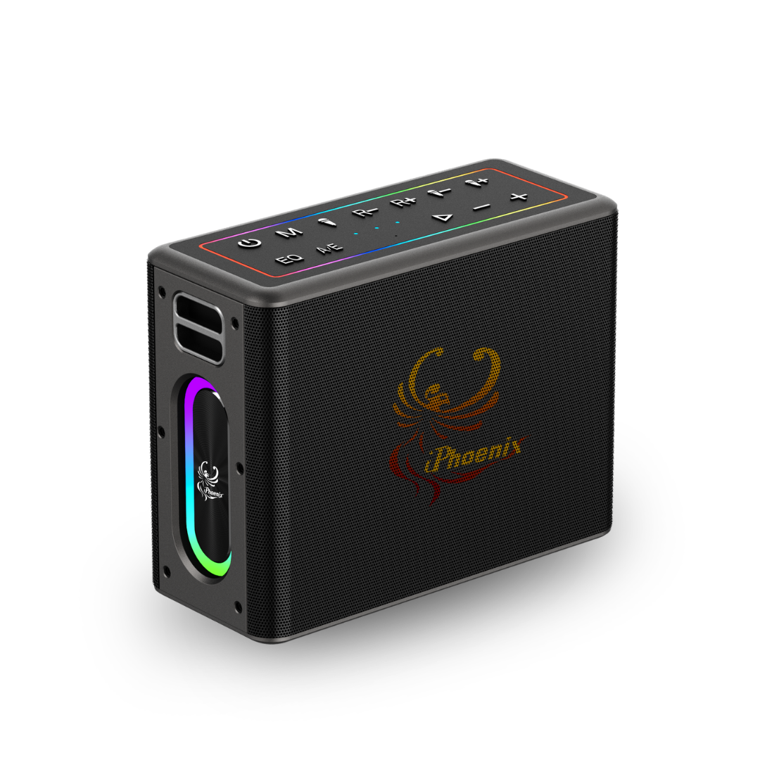 IX-60 12000mAh Wireless Karaoke Speaker
