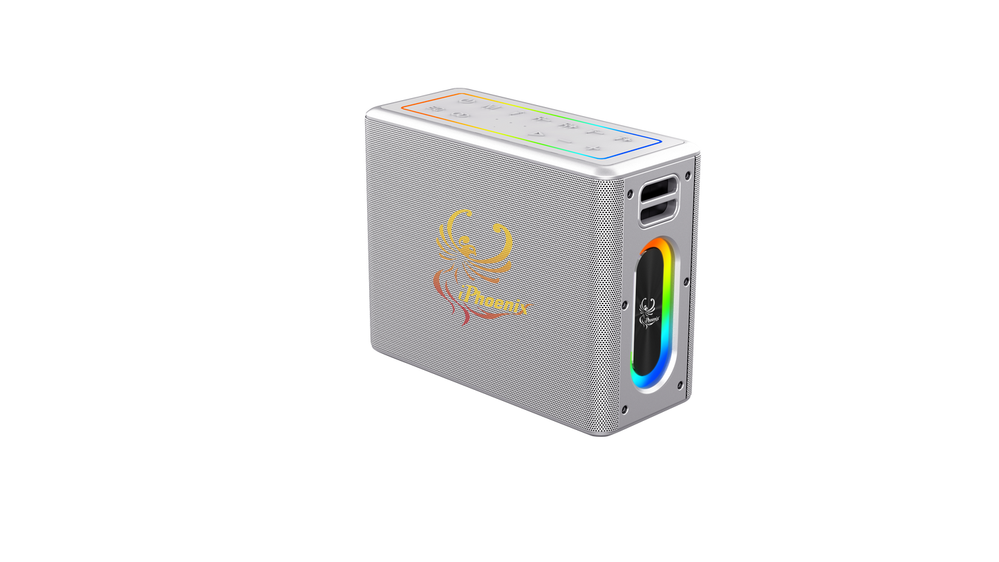 IX-60 12000mAh Wireless Karaoke Speaker