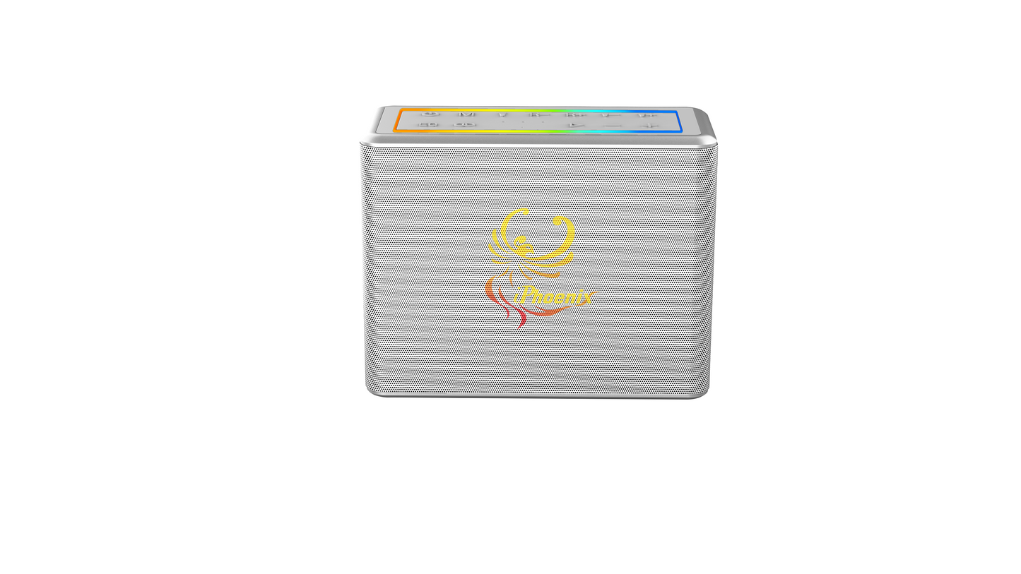 IX-60 12000mAh Wireless Karaoke Speaker