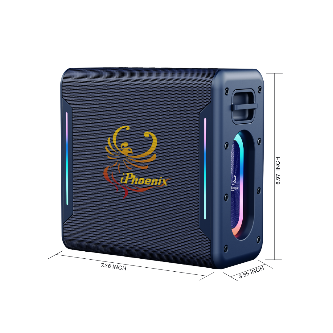 IX-100 40W Wireless Karaoke Speaker w/ Mic