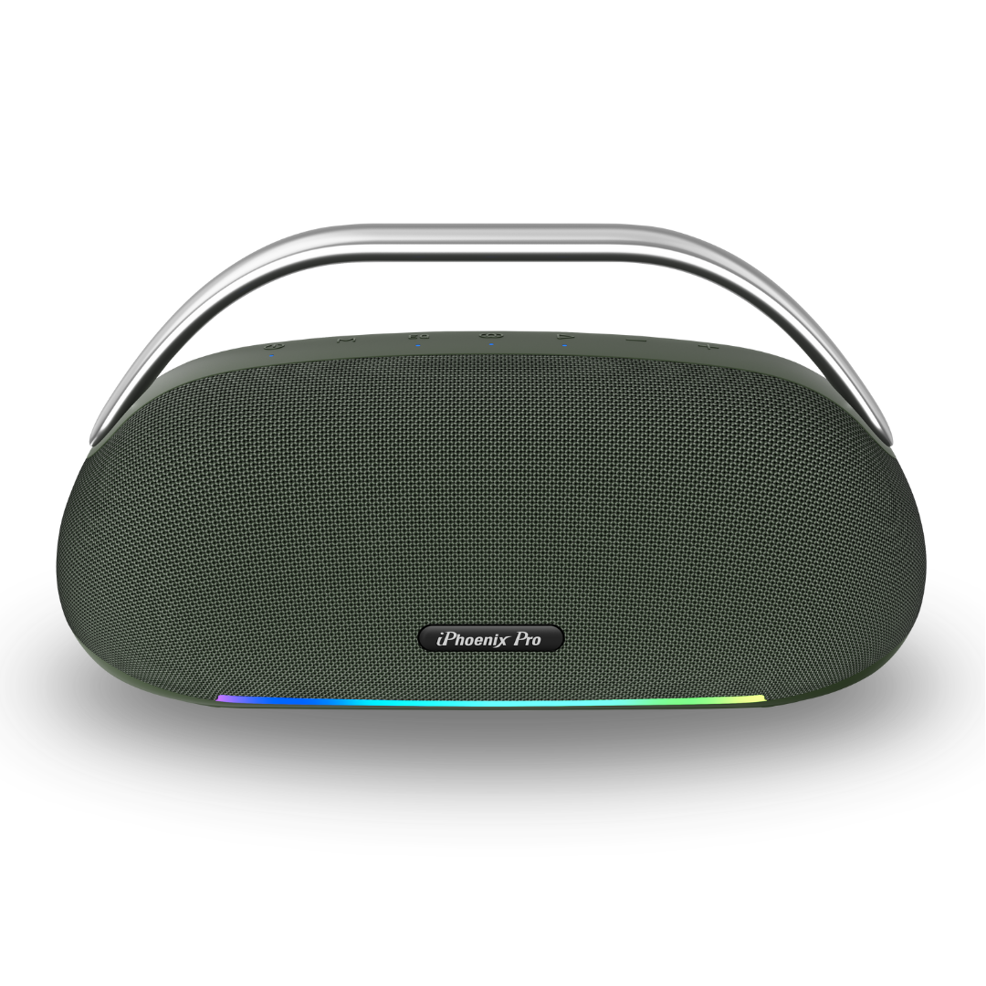IX-113 100W Wireless Karaoke Speaker w/ Mic