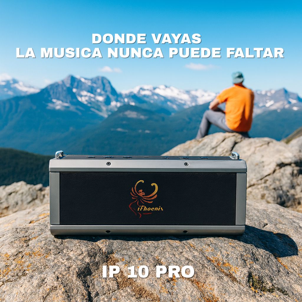 IP-10 Pro Wireless Karaoke Speaker with 120W Power Output