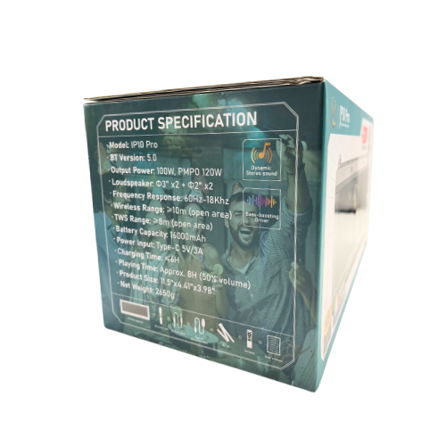 IP-10 Pro Wireless Karaoke Speaker with 120W Power Output