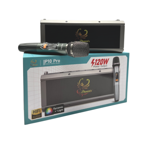 IP-10 Pro Wireless Karaoke Speaker with 120W Power Output