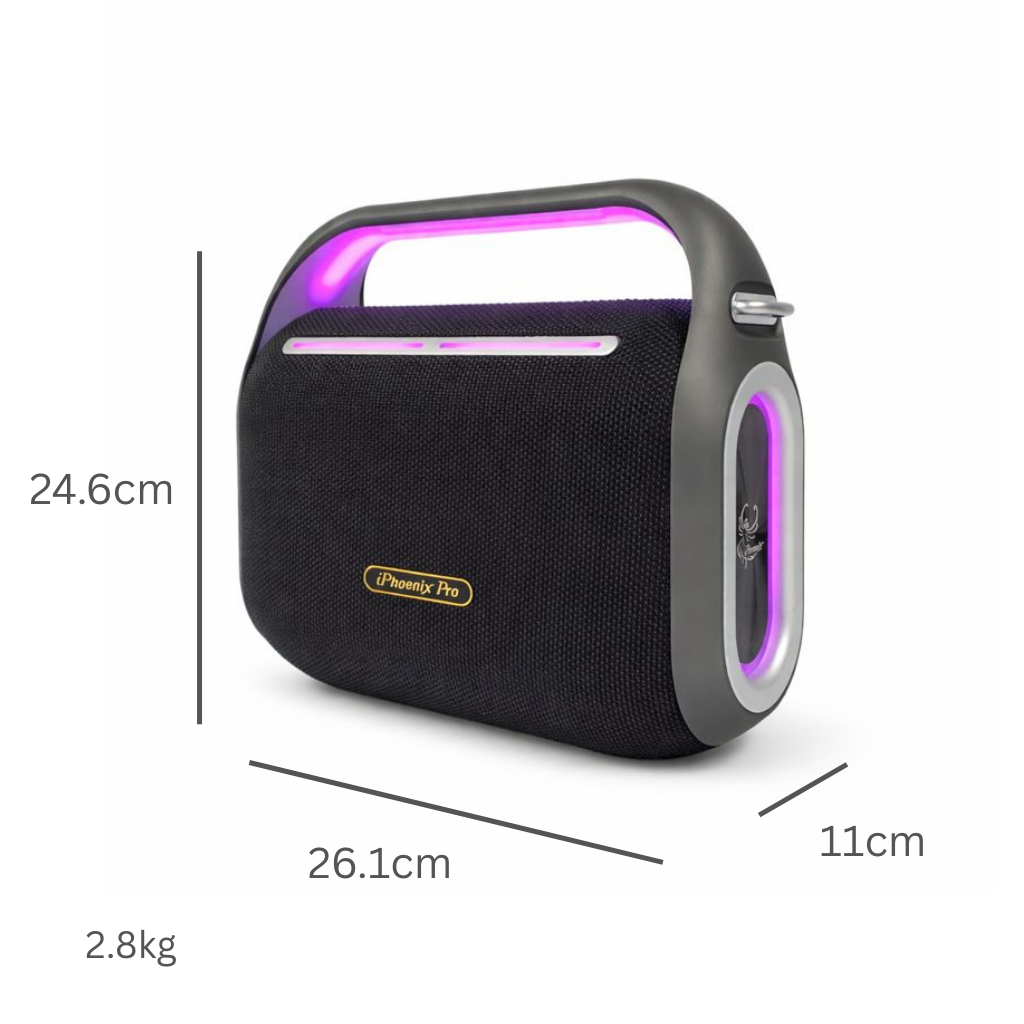 IP2 Pro Wireless Karaoke Speaker with 12H Playing Time