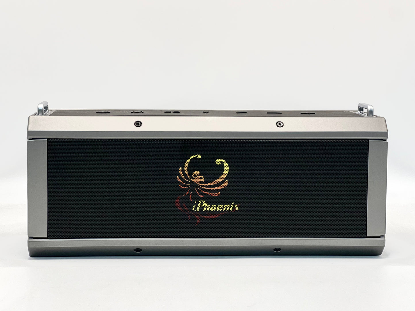 IP-10 Pro Wireless Karaoke Speaker with 120W Power Output