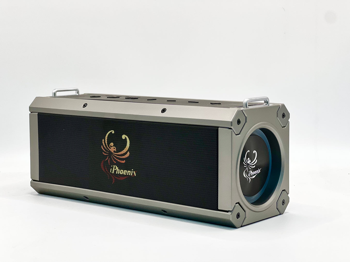 IP-10 Pro Wireless Karaoke Speaker with 120W Power Output