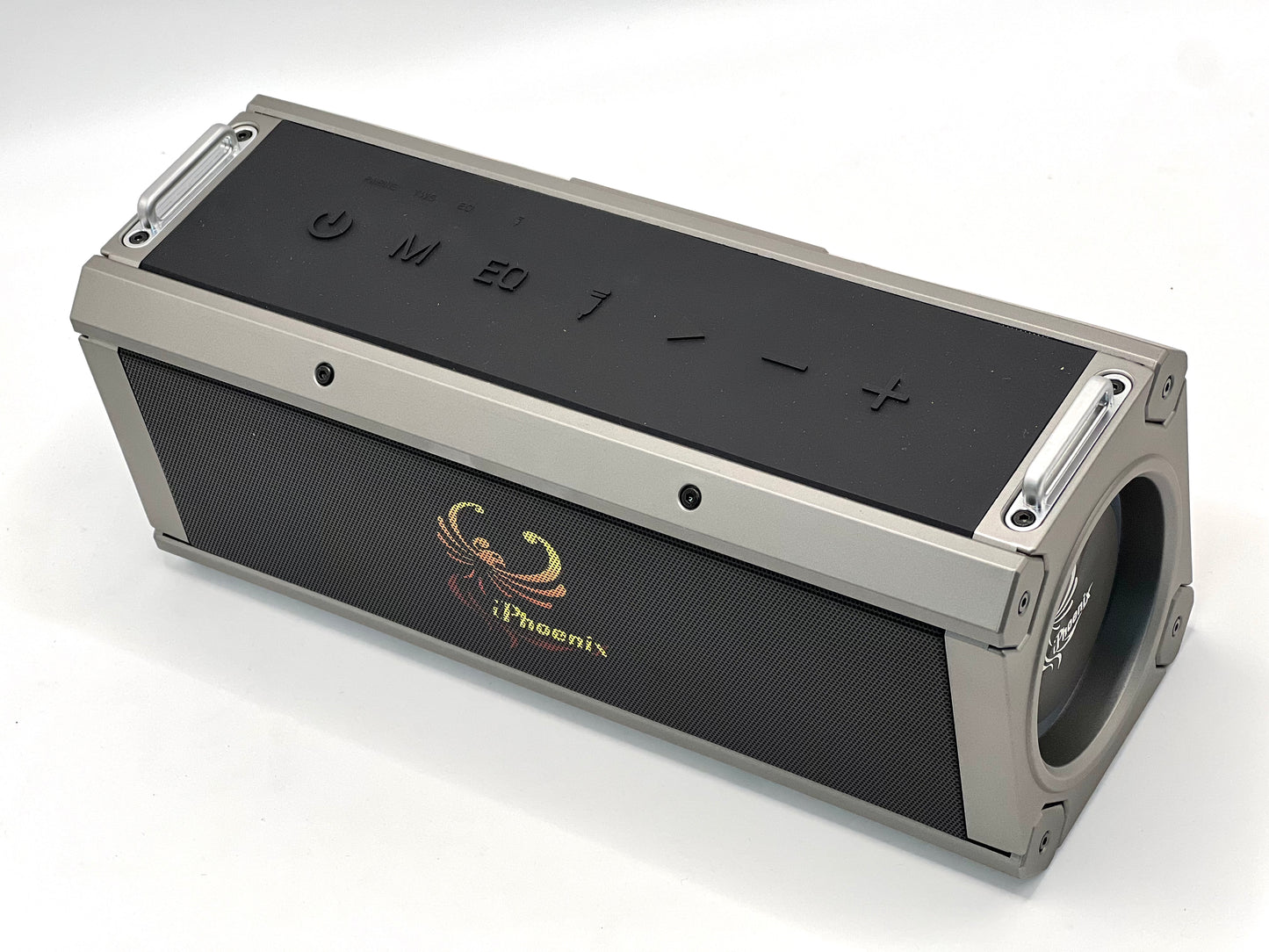 IP-10 Pro Wireless Karaoke Speaker with 120W Power Output