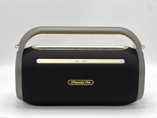 IP1 Pro Wireless Karaoke Speaker with 80W Power Output