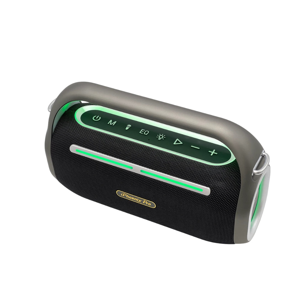 IP-1-Pro Portable Wireless Bluetooth Karaoke Speaker with 80W Power Output