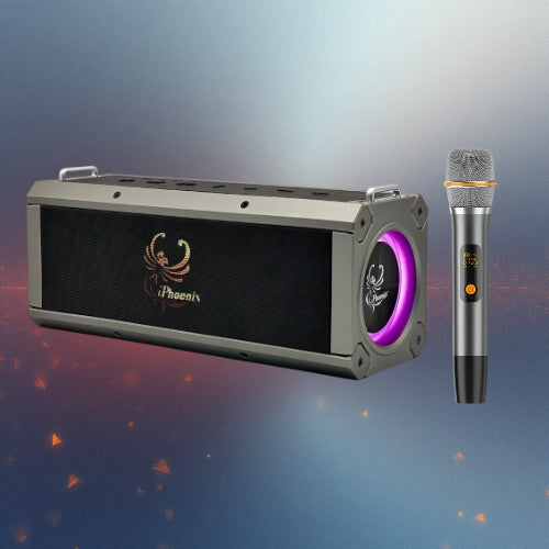 IP-10 Pro Portable Wireless Karaoke Speaker with 120W Power Output