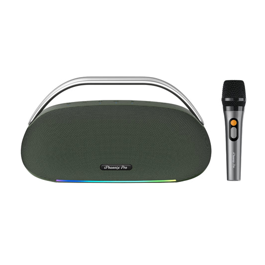 IX-113 100W Wireless Karaoke Speaker with Mic - Green