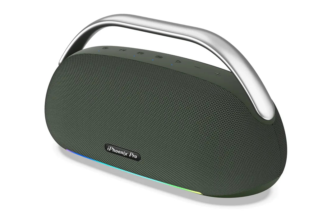 IX-113 100W Wireless Karaoke Speaker with Mic - Green